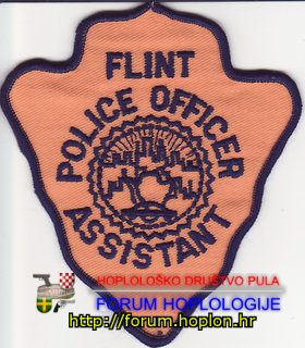 Flint POA.jpg