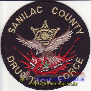 Sanilac Co. DTF.jpg