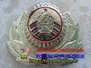 Belarus -  hat badge, current style.jpg