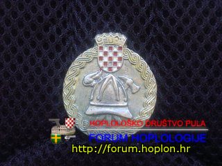 Croatian Firefighters - small badge.jpg