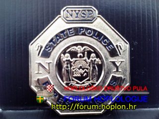NYSP - P&D (1).jpg