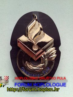 Netherlands - badge Gelderland-Zuid.jpg
