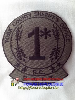 York Co. SO S.C. - SWAT.jpg
