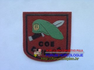 Spain Army Special Forces -COE EMMOE.jpg