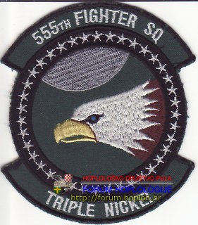 USAF - 555th F SQ.jpg