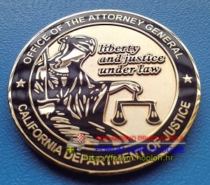 CDOJ - BII (1).jpg
