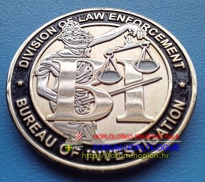 CDOJ - DLE BI  (1).jpg