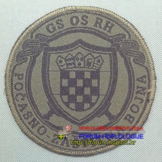 GS OS RH p-z b2.jpg
