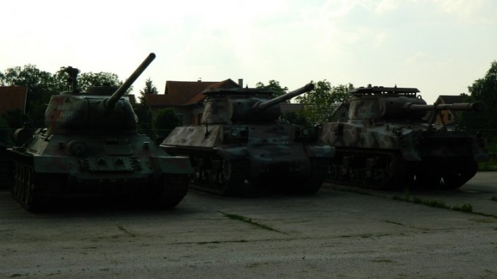 20 godina mirne reintegracije 093.JPG