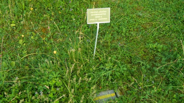 20 godina mirne reintegracije 091.JPG