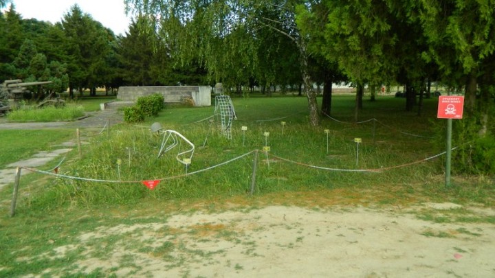 20 godina mirne reintegracije 090.JPG