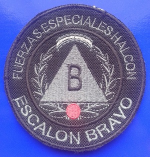 Argentina - Halcon Escalon Bravo2.jpg