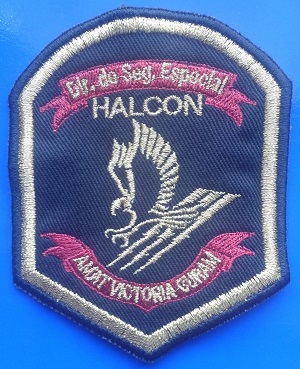 Argentina - Halcon Dir. de Seg. Especial2.jpg