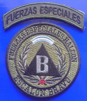 Argentina - Halcon Fuerzas Especiales Escalon Bravo.jpg