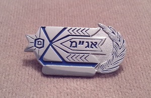 Israel - pin - for  done a special course for organizing  patrol missions.jpg