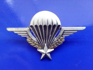 French and Foreign Legion Parachute Brevet.jpg