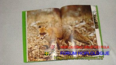 stručna literatura 006.JPG