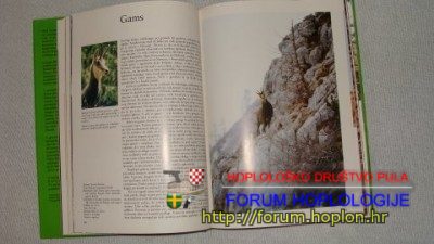 stručna literatura 007.JPG