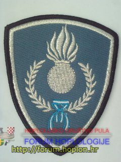 Argentina - PFA pješadija.jpg