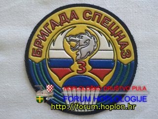 Rusija - GRU - 3rd SPECNAZ Brigade - current.jpg